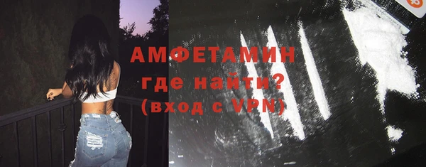 индика Гусев