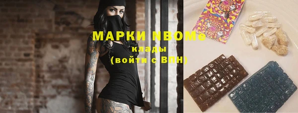 индика Гусев