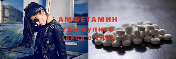 индика Гусев
