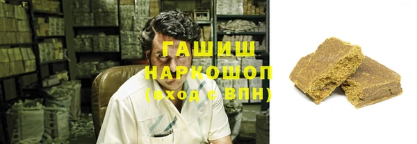 индика Гусев