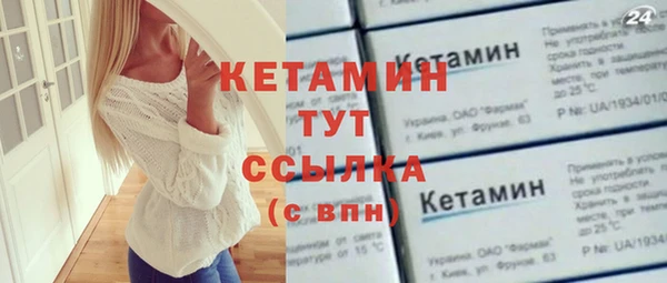 индика Гусев