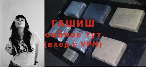 индика Гусев