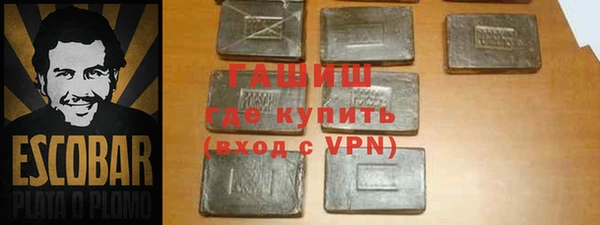индика Гусев