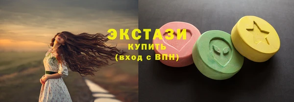 индика Гусев