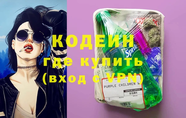 индика Гусев