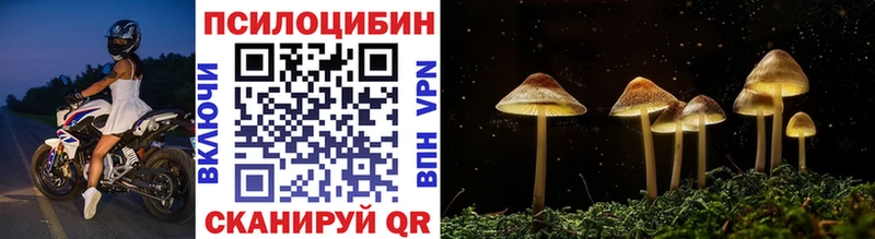 Купить  Красный Сулин  Псилоцибиновые грибы MAGIC MUSHROOMS 